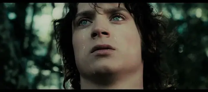 frodo crying in lord of the rings elijah wood